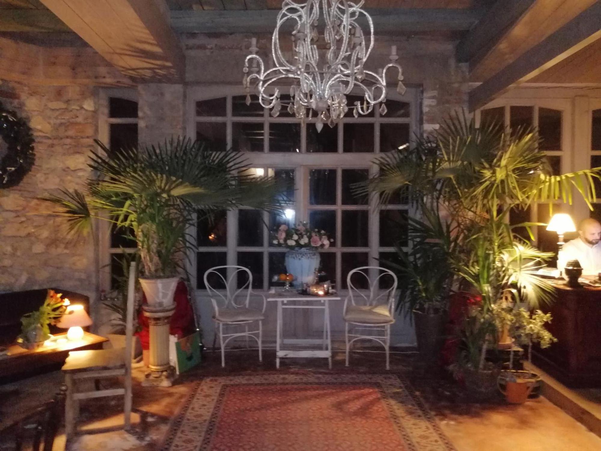 Vila Terrasse كَشّا المظهر الخارجي الصورة