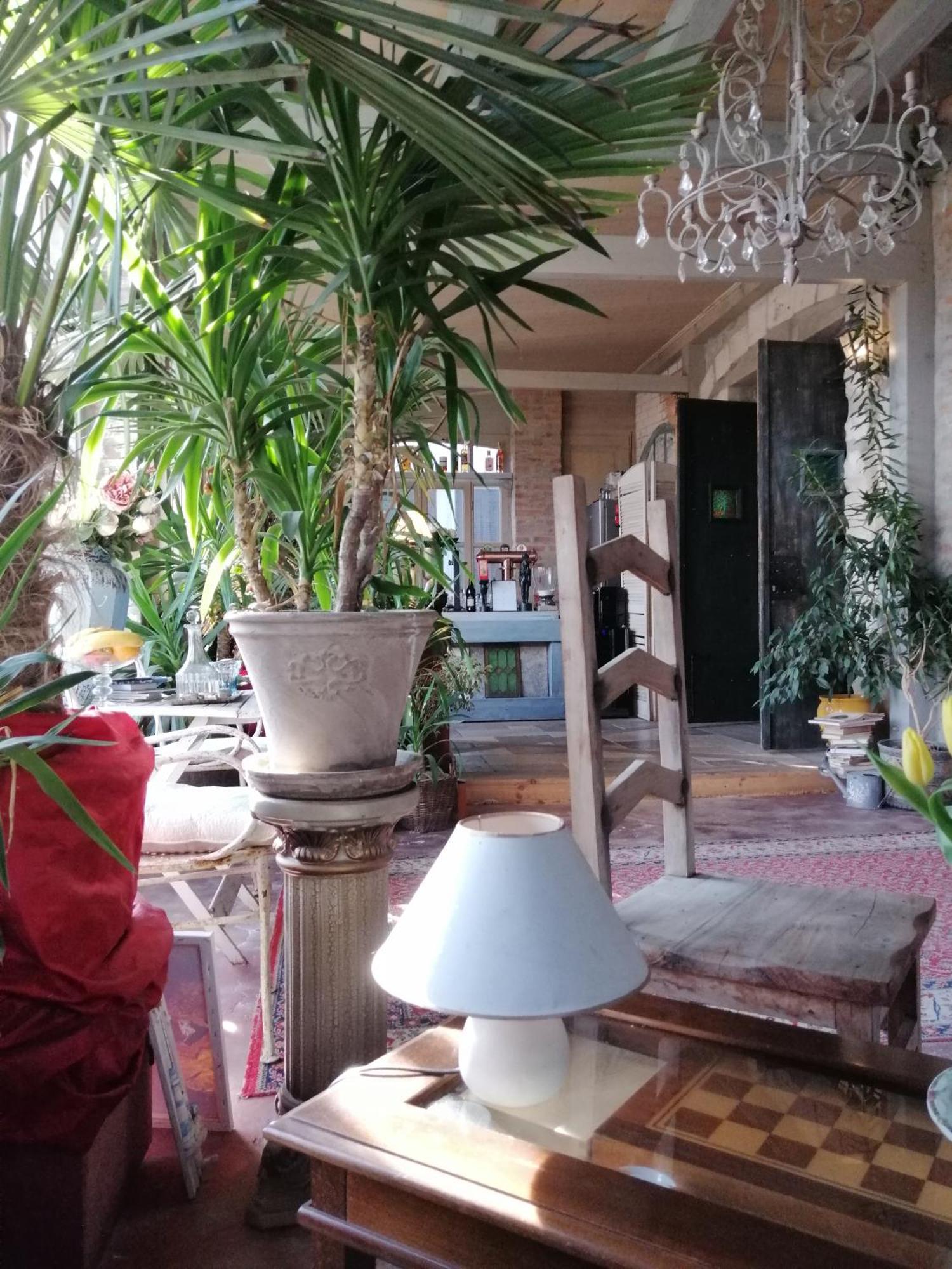 Vila Terrasse كَشّا المظهر الخارجي الصورة